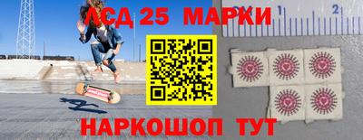 стаф Сланцы
