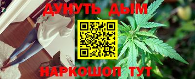 стаф Сланцы