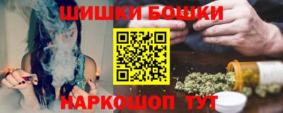 стаф Сланцы